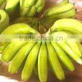 Fresh Sweet Banana thumbnail-2