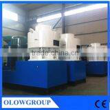 Hot Sales Double Vertical Ring-die Pellet Manufacturing Machine thumbnail-1