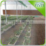 Hydroponics Strawberry Film Greenhouse thumbnail-3