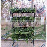 American Garden Center Bracketplant Special Use Display Trolley Cart thumbnail-5