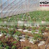 Hengxiang Lastest Inlaid Flat Emitter Drip Irrigation Pipe Production Line thumbnail-1