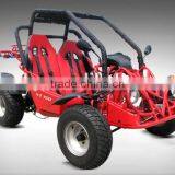 EEC 150cc/250cc Buggy thumbnail-6