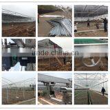 Greenhouses With Reinforced Plastic Frame For Sale thumbnail-6