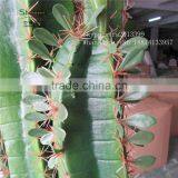 CHY030930 Landscaping Cactus Plant With Flowers/indoor Plastic Succulent Plant thumbnail-5