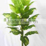 Supply Artificial Scindapsus Bonsai thumbnail-1