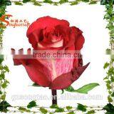 Latest Artifiicial Rose Mixed Rose Flower Table Decorations Centerpieces Wedding thumbnail-1