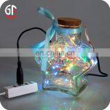 Festival Items USB 5V 10M 33FT 100 LEDs Home Declration Remote Control String Lights for Outdoors thumbnail-4