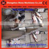 Sole Fish Gutting Machine/ Tilapia Gutting Machine/ Salmon Gutting Machine (skype:vivi151988) thumbnail-6