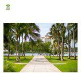 Wanhe Grass 90E Artificial Grass Installation Synthetic Turf for Sale thumbnail-4