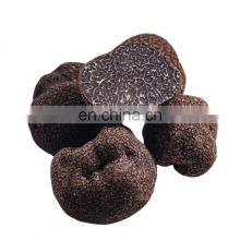 Hei song lu top grade wild fresh dried whole black truffle mushroom price