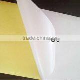 Coating Machine for Making Label