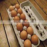 100% Pure Waste Paper Pulp Moulded Egg Trays thumbnail-3