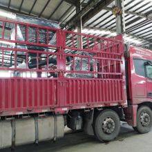 Hydraulic Ball Press Machine thumbnail-2