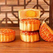 Chaoyang Fengmai Food Co.,Ltd. company overview - view 2 thumbnail