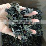 Bulk Dried Black Fungus Flowers Within 2.5CM