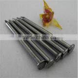 Common Round Iron Wire Nails Factory/Common Nail