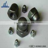 Nylon High Quality Acom Cap Nuts