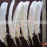 Wholesale Feather Products Natural Turkey Feather For Party Mask And Wedding Decorations