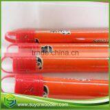 120x2.5cm Colorful Mop Wooden Pole With Low Price