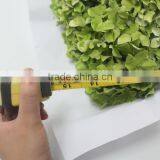 Fresh Crazy Selling Fresh Hydrangea Export From China thumbnail-2