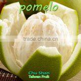 Taiwan Hot Sale Fresh Pomelo thumbnail-6