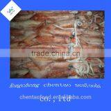 Weihai Squid Loligo Frozen Squid Sale