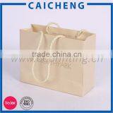 Custom Paper Carrier Paper Garment Bag