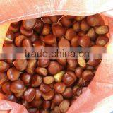 New Growth Chinese Chestnuts