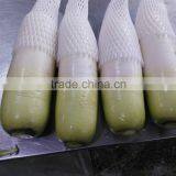 Fresh Radish to Canada From Chinese Factory thumbnail-1