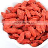 HACCP & ISO Hot Sell and Top Quality New Harvest Ningxia Dried Goji Berry in China thumbnail-2