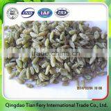 Flavorsome 2015 China Dried Green Raisin thumbnail-3