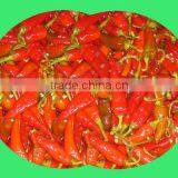 Good Quality Canned Pickled Red Chili Pepper thumbnail-4