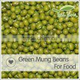 Chinese Export Green Mung Beans Specification thumbnail-5