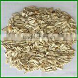 Roasted and Spiced Cheap White Sunflower Seeds With Best Quality for Sale thumbnail-1