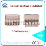 Paper Mold Pulp Egg Tray Packaging thumbnail-5
