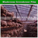 black and whrite grid greenhouse film for mushroom