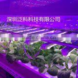 Hot Seller 20w 660nm 450nm Blue Hydroponic Led Grow Light Bube With Good Price thumbnail-2