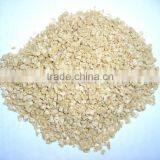 TSP Textured Vegetable Soy Protein