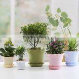 Fashional Design Lotus Shaped Plastic Plant Flower Pot Which Has 6 Kinds of Colors thumbnail-3