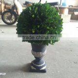 Potted Preserved Boxwood Ball Topiary Producer thumbnail-1