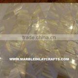 Mop Shell Exclusive Tiles thumbnail-1