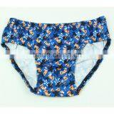 Cute Boy Underwear Boys Thong Underwear Children Underwear Boy Models thumbnail-3
