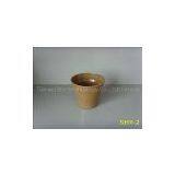 Biodegradable Pot