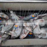 Brush Type Fish Scale Removing Scaling Remover Processing Machine thumbnail-5