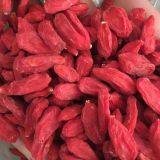 Wolfberry thumbnail-1