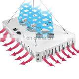 2000W COB Dimmable LED Grow Light Full Spectrum LED Growing Lamp Indoor Plant Growth Lighting thumbnail-7