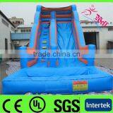 2014 Newest Design Inflatable Water Slide With Pool / Inflatable Pool Slide