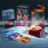 PET Printed Clear Packaging Box thumbnail-1