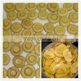Mushroom in Canned Food and Vegetable Canned Button Mushroom thumbnail-1