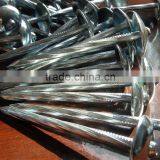 Competitive Price Umbrella Head Roofing Nails Directly Manufacturer thumbnail-2